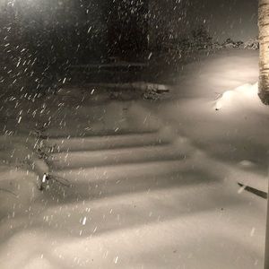 Meet your Posher, Lexi